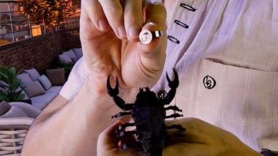 SCORPION by Hugo Valenzuela - Image 3