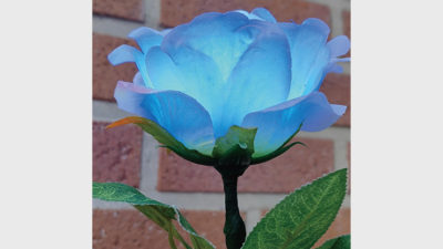 Remote Light Rose Multi-color, Charger Included by JL Magic - Image 2