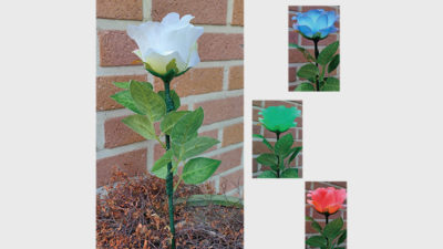 Remote Light Rose Multi-color, Charger Included by JL Magic