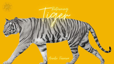 The Vault - Returning Tiger by Aurelio Ferreira video (Download)