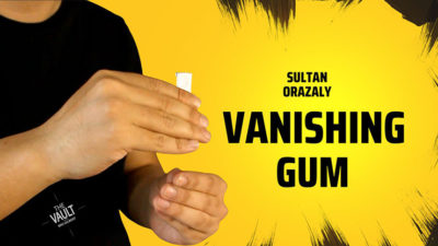 The Vault - Vanishing Gum by Sultan Orazaly video (Download)