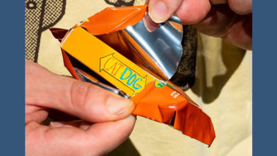 Fontaine Nickelodeon: Cat Dog Playing Cards - Image 3