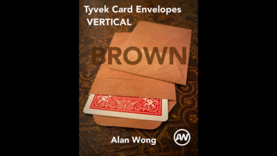 Tyvek VERTICAL Envelopes BROWN, 10 pk. by Alan Wong