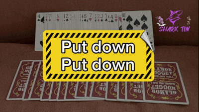 Put down - Put down by Shark Tin and JJ team video (Download)