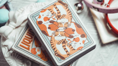 Liquid Cat Playing Cards by 808 Magic and Bacon Card Magic - Image 2