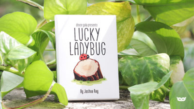 Lucky Ladybug, Gimmicks and Online Instructions by Joshua Ray & Deuce Gala Magic - Image 6
