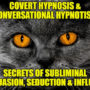 INTERPERSONAL NEURAL SYNCHRONYCovert Hypnosis, Conversational Hypnotism, Influence, Persuasion, Negotiation,Rapid Seduction & NLP Mind Control Secrets for Therapeutic Change, Pleasure,Profit, Entertainment & Success in Life By Dr. Jonathan Royle & Mr. Pau (Download) 75693-full.png