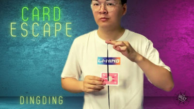 The Vault - Card Escape by Dingding video (Download)