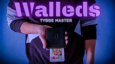 Walleds by Tybbe Master video (Download)