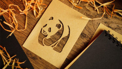 THE PAPER CUT by TCC - Image 4