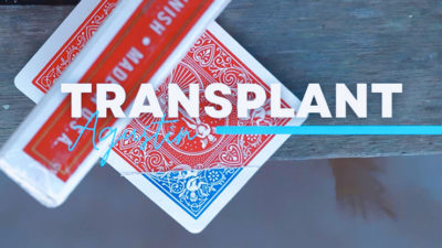 Transplant by Agustin video (Download)
