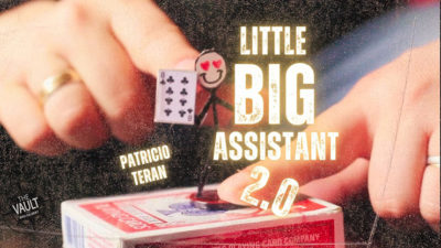 The Vault - Little Big Assistant 2 by Patricio Teran video (Download)