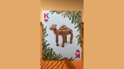Bicycle Balloon Desert Playing Cards - Image 6