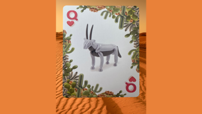 Bicycle Balloon Desert, Stripper Playing Cards - Image 2