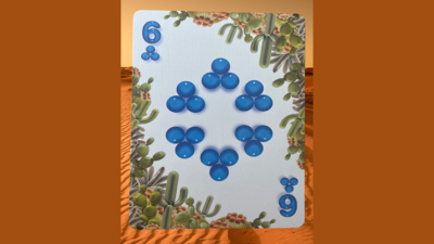 Bicycle Balloon Desert, Stripper Playing Cards - Image 3