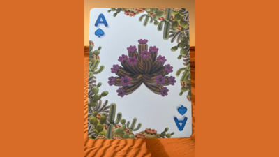 Bicycle Balloon Desert, Stripper Playing Cards - Image 5