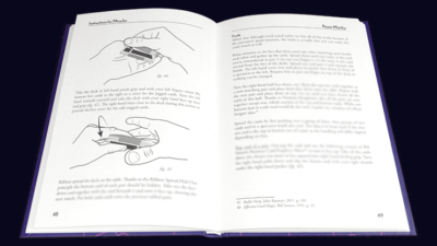 Instructions for Miracles by Friedrich Roitzsch - Image 3
