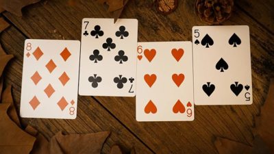Forest elf Badger Playing Cards - Image 5