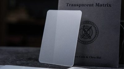 Transparent Matrix by Artisan Coin & Chen Hui - Image 2