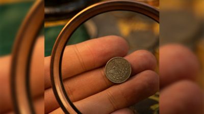 Mini Morgan, pack of 5 by N2G - Image 3
