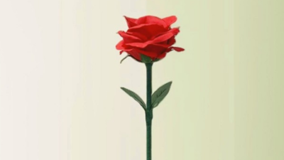 Rainbow Rose by JL Magic - Image 4