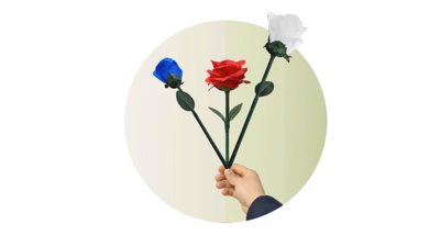 Rainbow Rose by JL Magic - Image 5