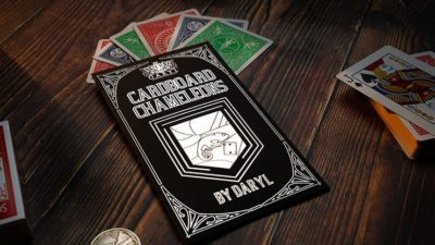 Cardboard Chameleons, Gimmicks and Online Instruction by DARYL
