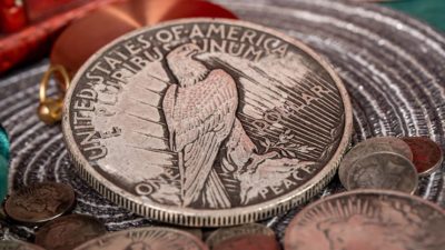 Jumbo Peace Dollar by N2G - Image 6
