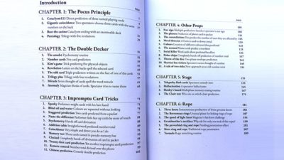 Prestidigitator by Brian Caswell - Image 3