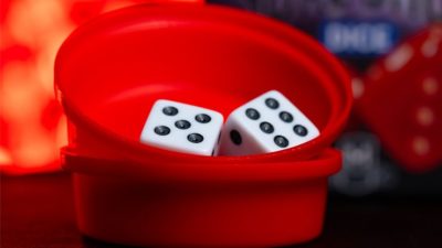 SURE SHOT DICE by Apprentice Magic - Image 3