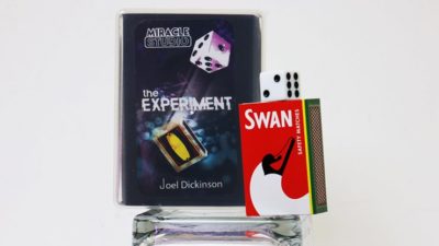 THE EXPERIMENT by Joel Dickinson - Image 2