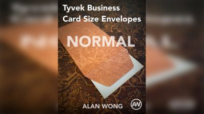 Tyvek Business Card Size Envelopes, 10 pk. by Alan Wong