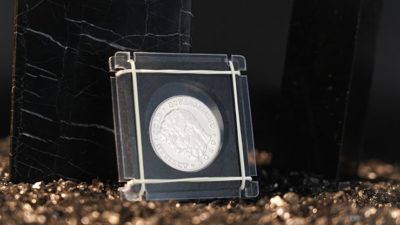 Coin Shackles by TCC - Image 2