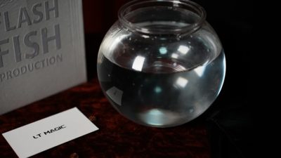 Flash Fish Production by LT Magic - Image 2