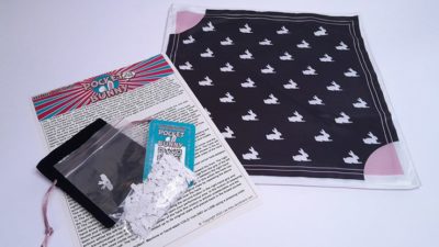 Pocket Bunny by Lee Alex - Image 6