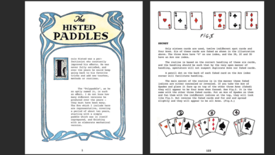 Personal Magic, The Secret Books of Eric Lewis, V4 - Image 2