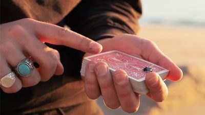 The FLY LITE by Marcos Waldemar & Invisible Compass - Image 2