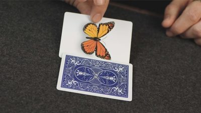 Caterfly, Blue by My Magical Project - Image 5
