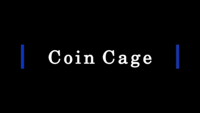 Coin Cage, Silver by Paul Carnazzo