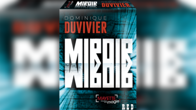 The Mirror, Red by Dominique Duvivier