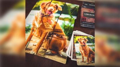 FMPX, Fusion Mosaic Phenomenon Standard Edition Playing Cards - Image 2