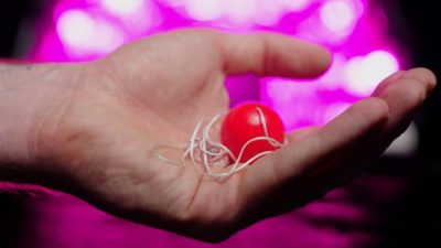 OBEDIENT BALL, Gimmicks and Instructions by Apprentice Magic - Image 3