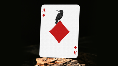 Feather & Bone: The Chrome Hearts, Foil Playing Cards by Joel Meyers - Image 5