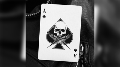 Feather & Bone: The White Cobra's, Limited Edition Playing Cards by Joel Meyers - Image 2
