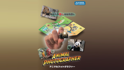 Animal photographer - Image 2