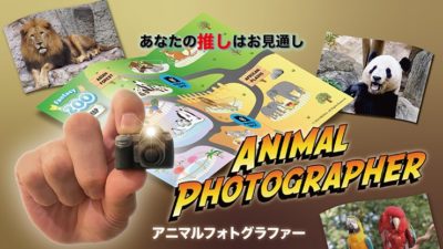Animal photographer - Image 4