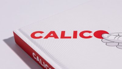 Calico by Rick Holcome - Image 2