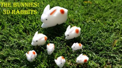 The Bunnies! 3D Rabbits, Parents, Kids & Grandpa