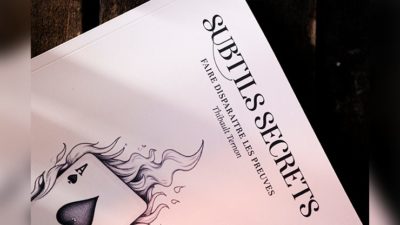 Subtle Secrets 1 by Thibault Ternon - Image 2