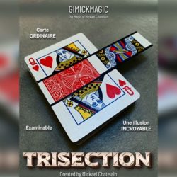 TRISECTION, Blue Mickael Chatelain